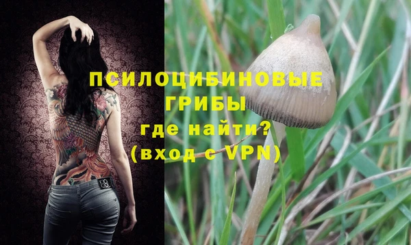 твердый Алексеевка