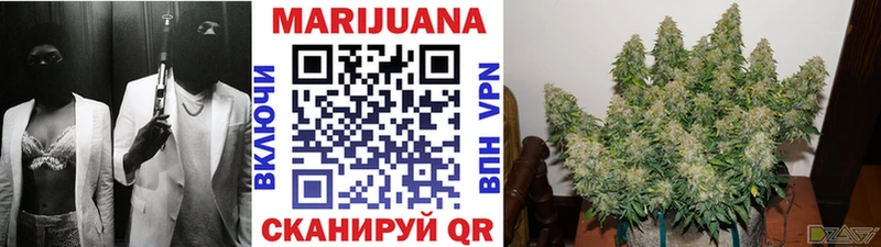 Конопля OG Kush дарнет шоп Сельцо